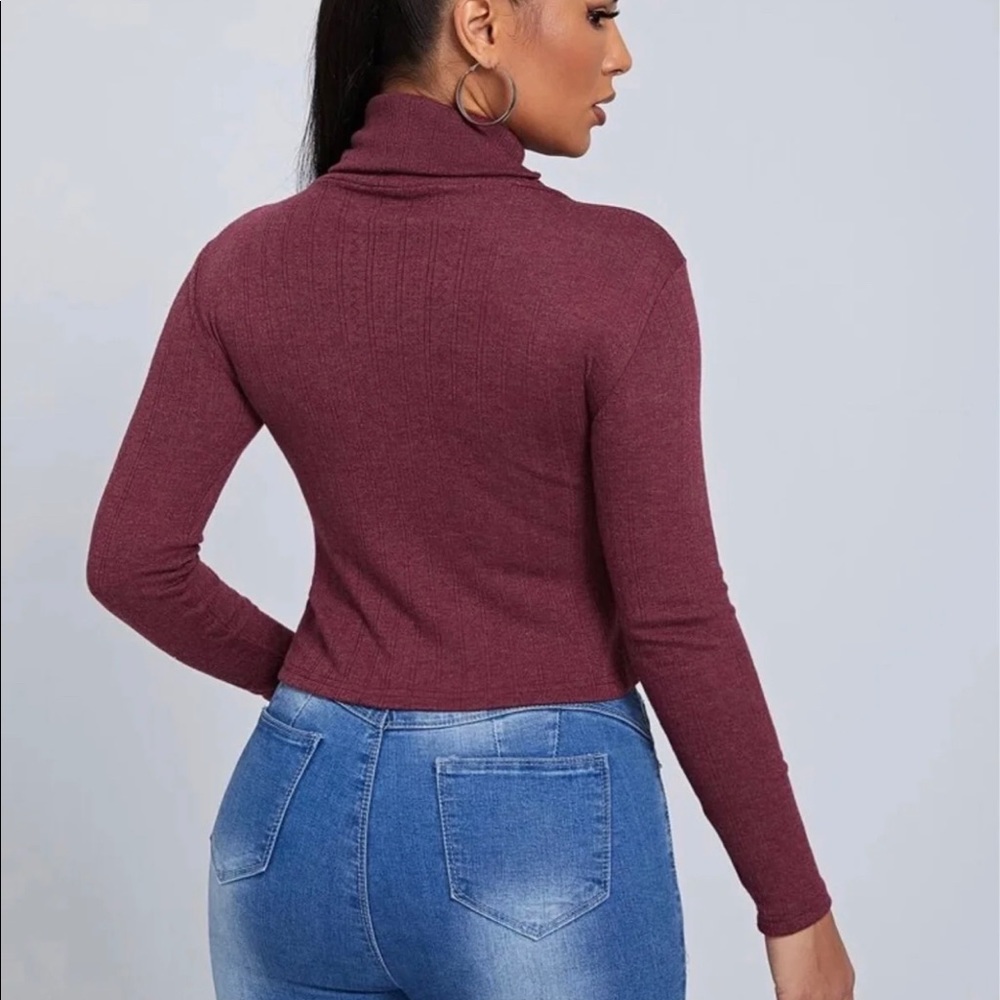 Turtle Neck Textured Knit Top - Picture 2 of 2